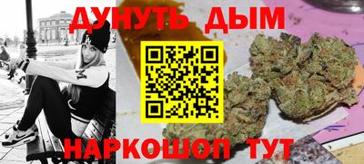 крисы Бийск