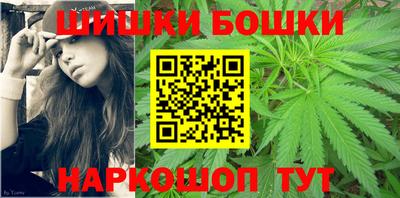 крисы Бийск