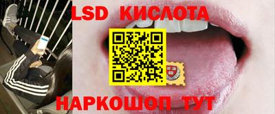 крисы Бийск