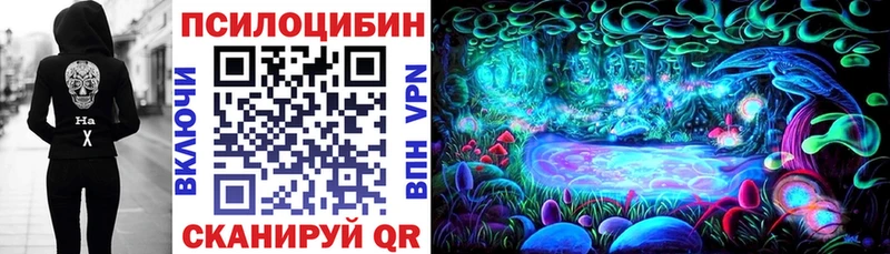 Псилоцибиновые грибы Cubensis  где купить наркоту  ссылка на мегу как войти  Гагарин 